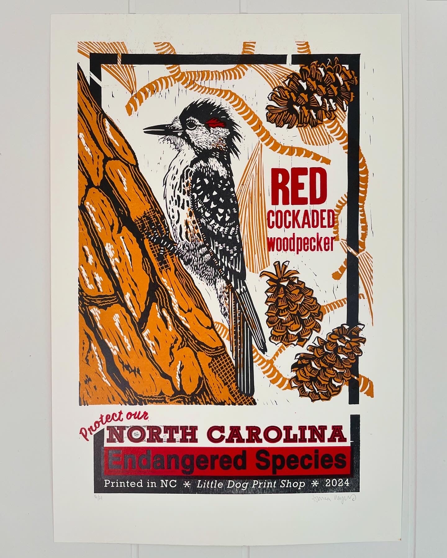 Red-Cockaded Woodpecker Letterpress Poster