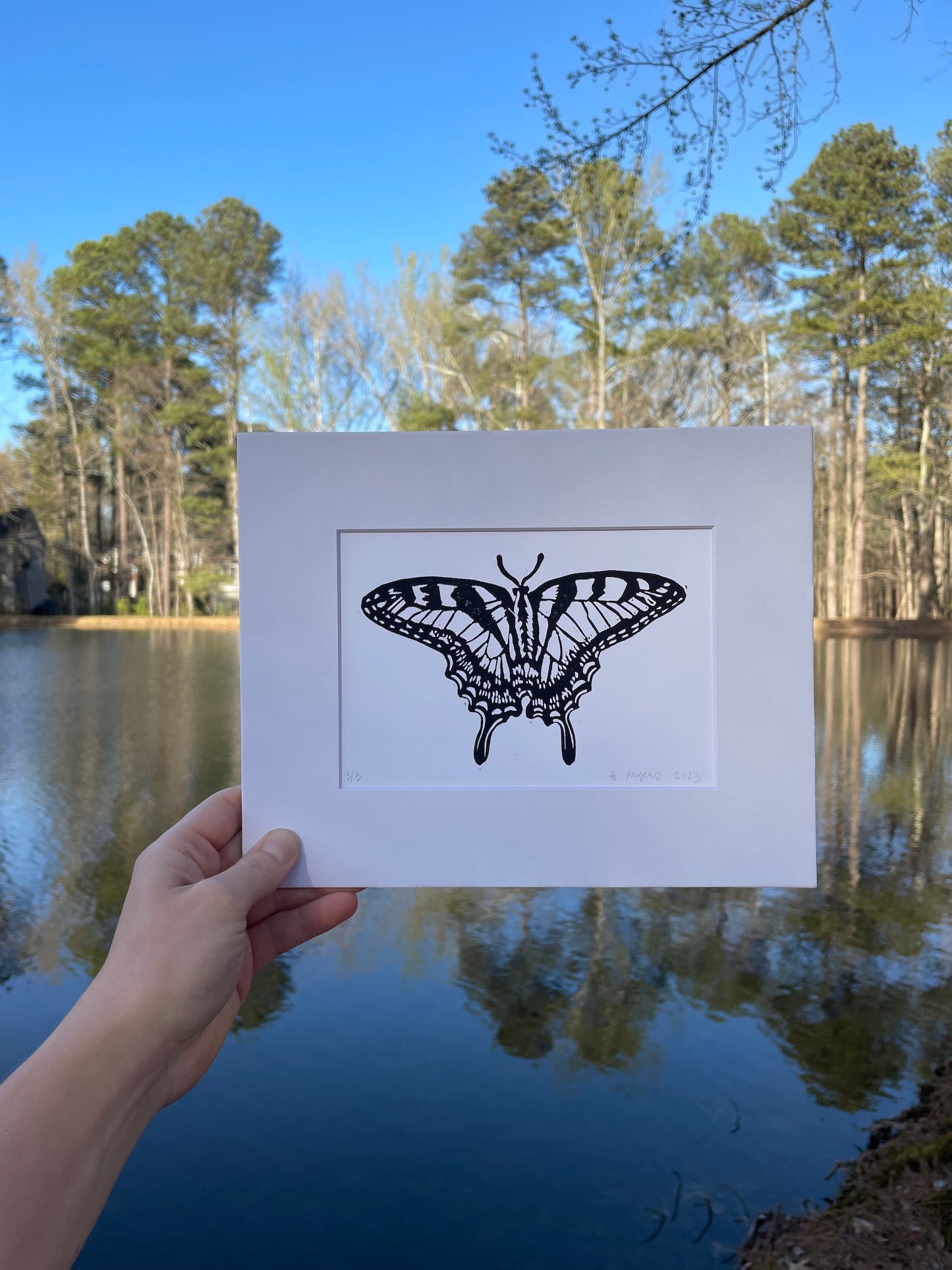 Eastern Tiger Swallowtail Butterfly Print 5"x7"