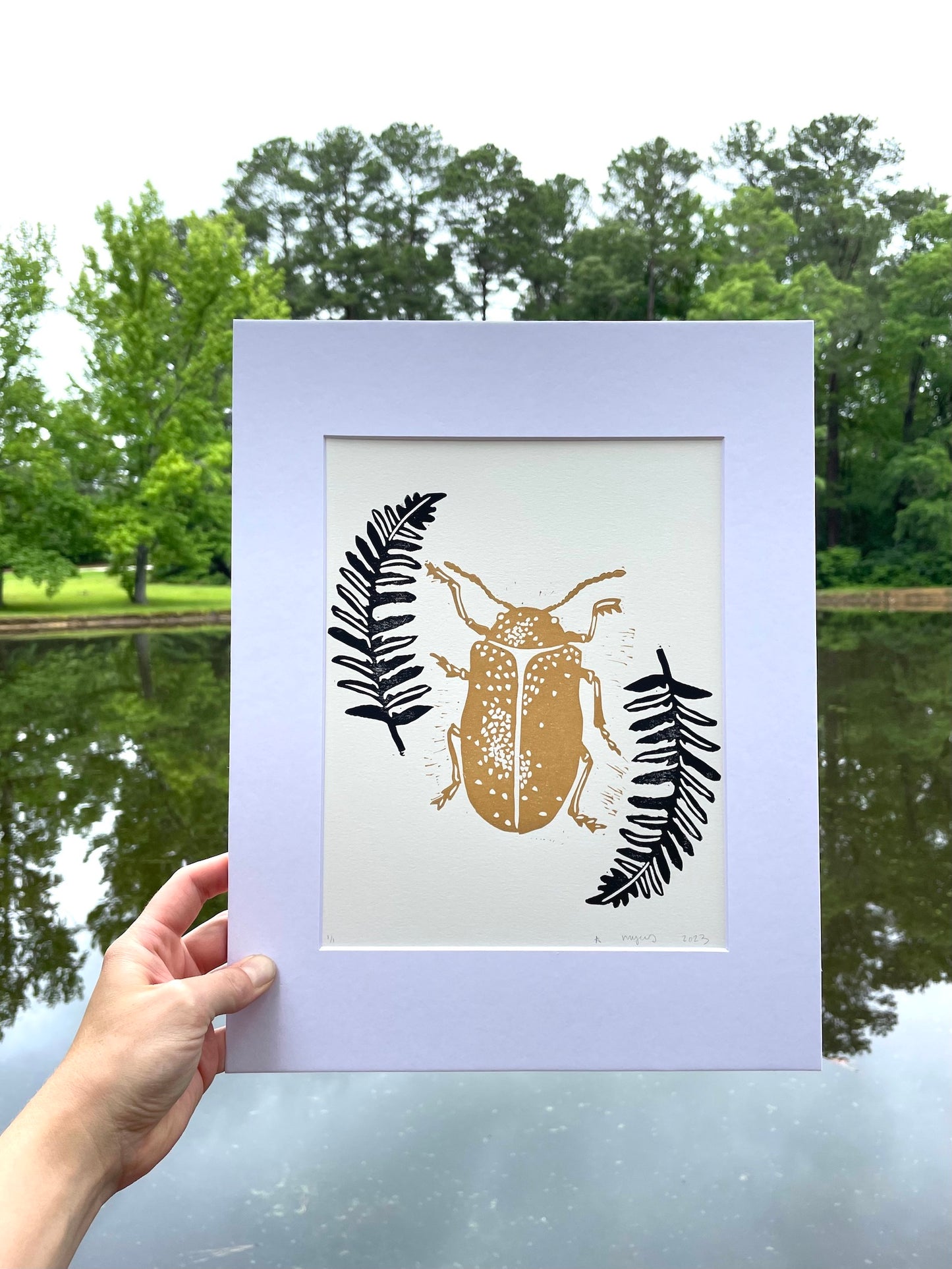 Black and Gold Dogbane Beetle with Ferns 11" x 14"