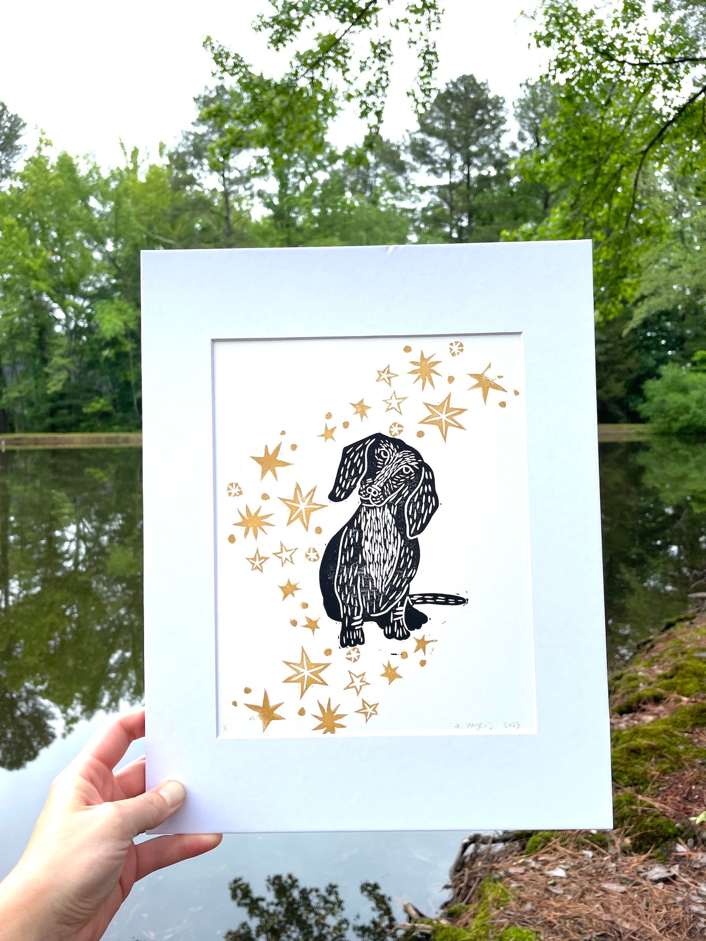 Black and Gold Dachshund with Stars 11" x 14"