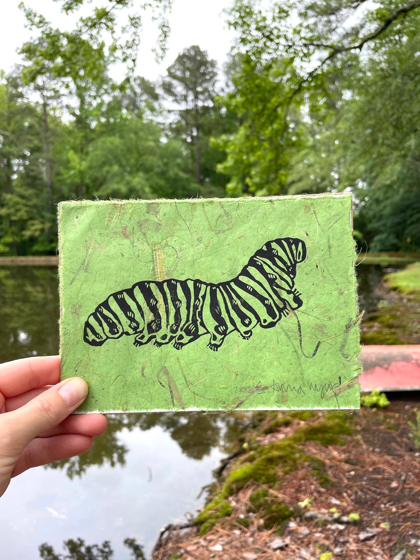 Swallowtail Caterpillar on Fancy Paper-Green