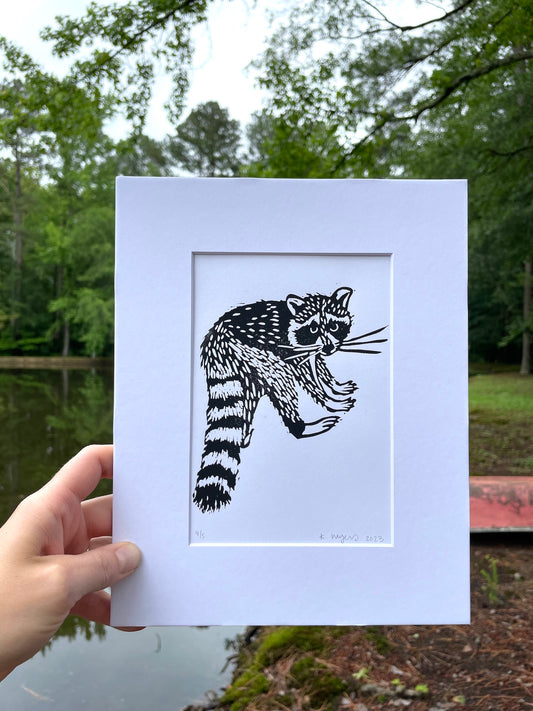 Eastern Raccoon Print 5"x7"