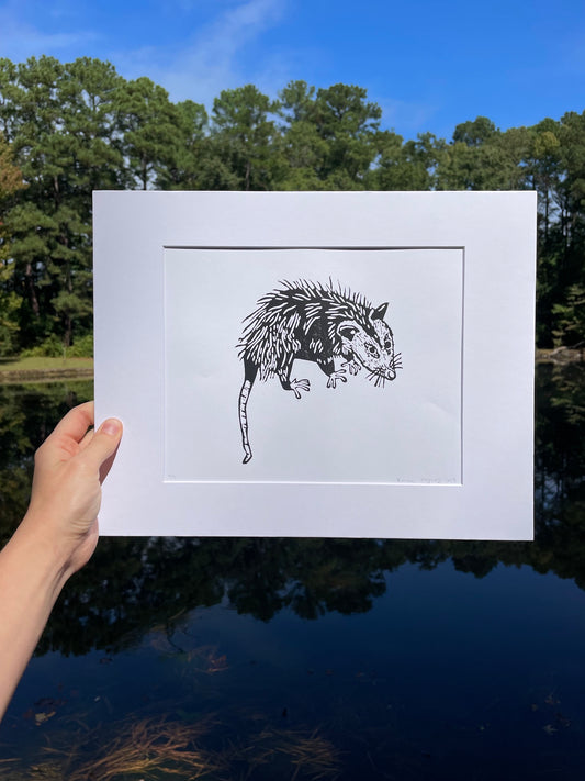 Opossum Print 8" x 10"