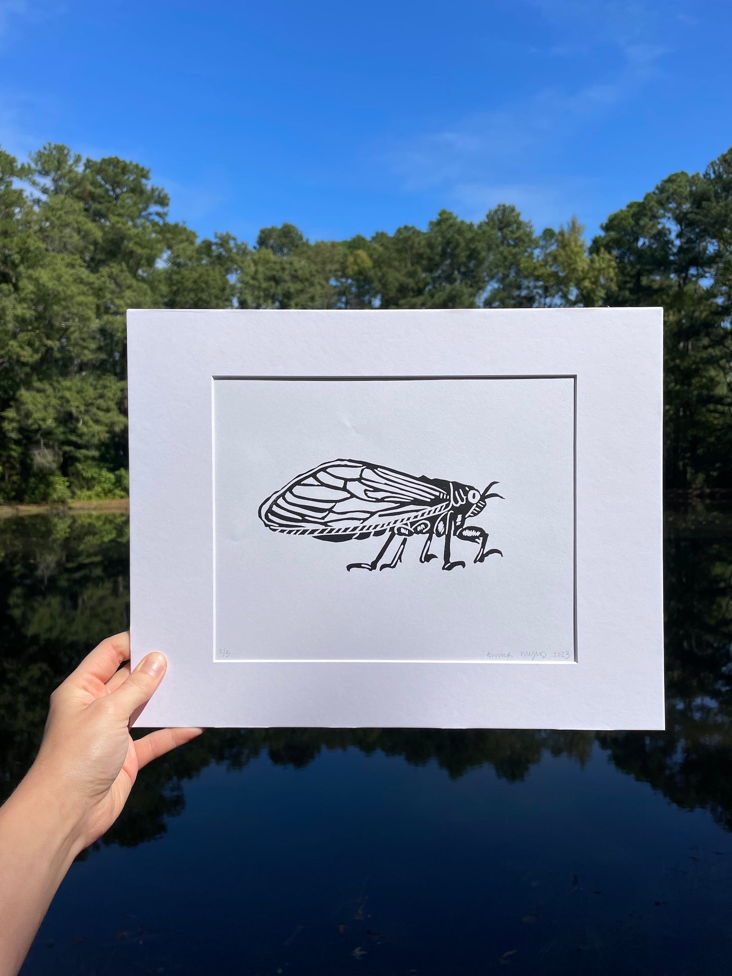 Cicada Print 8" x 10"
