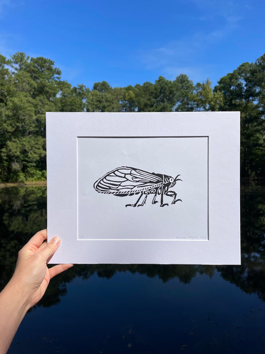 Cicada Print 8" x 10"