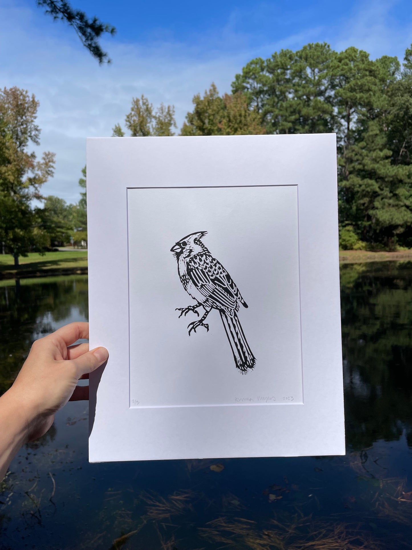 Cardinal Print 8" x 10"
