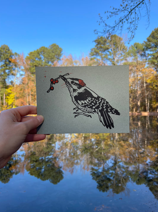 Downy Woodpecker with Berries on Blue Toned Paper