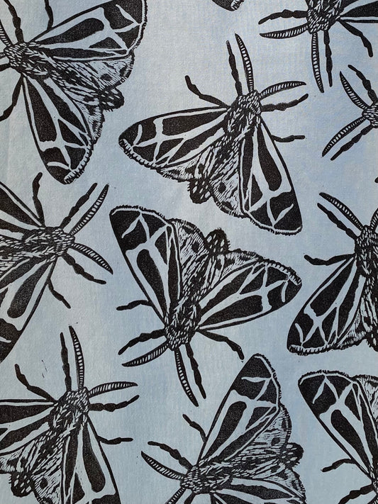 Cotton Tea Towel: Harnessed Tiger Moth on Sky Blue