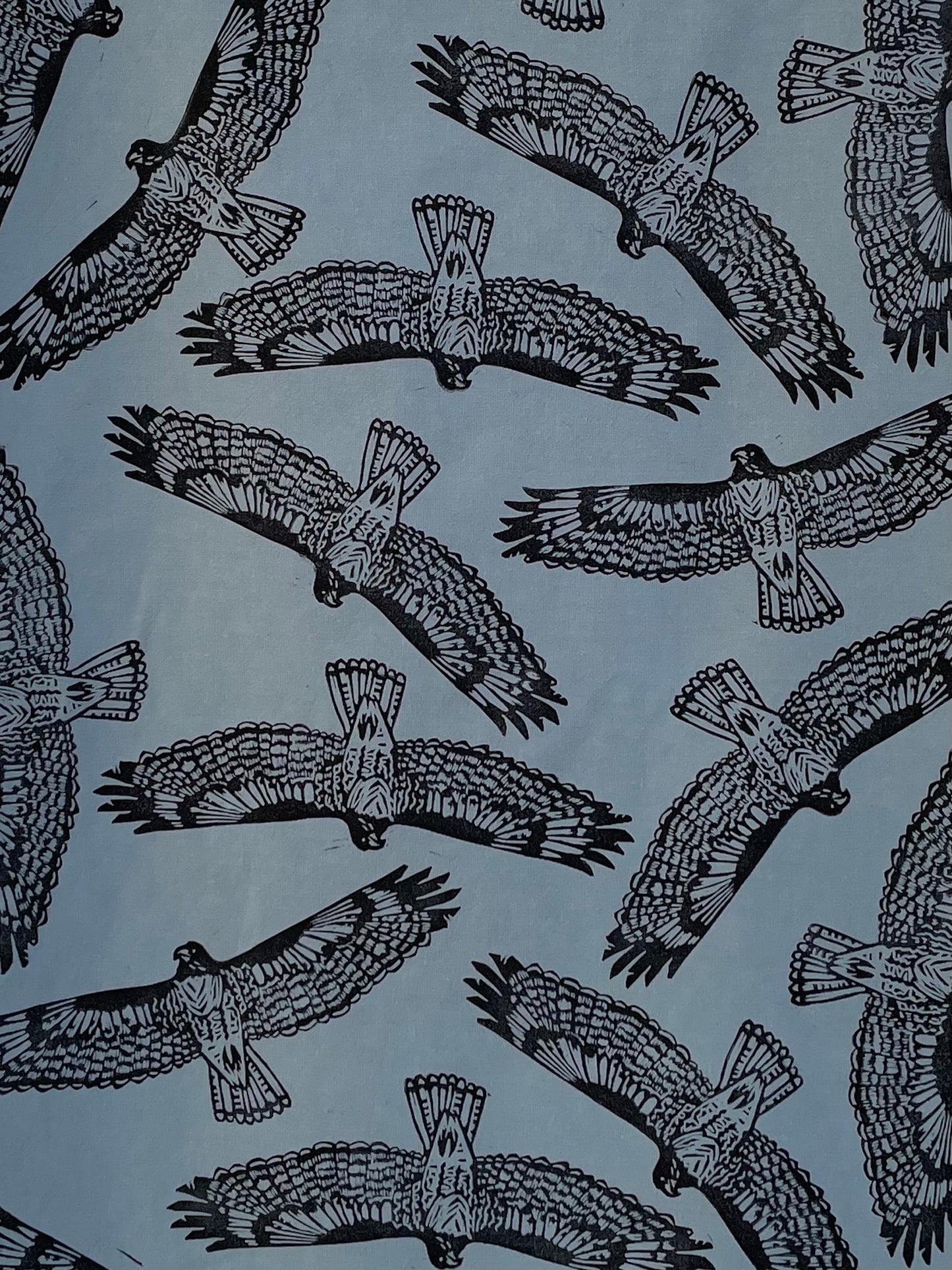 Cotton Tea Towel: Red Tailed Hawk on Sky Blue