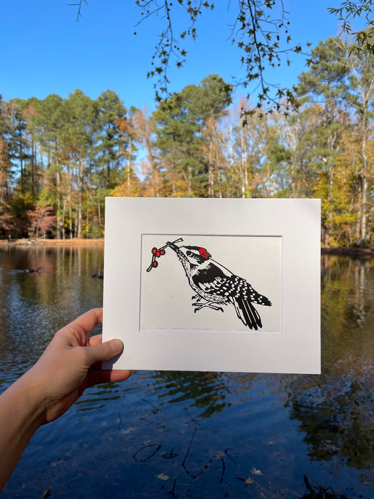 Downy Woodpecker with Berries Print 5"x7"