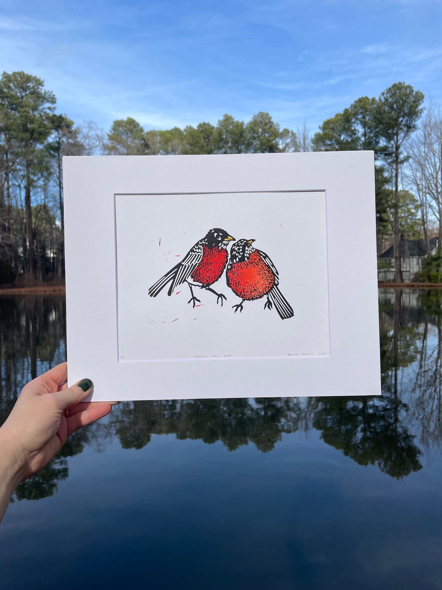 American Robin Print 8" x 10"