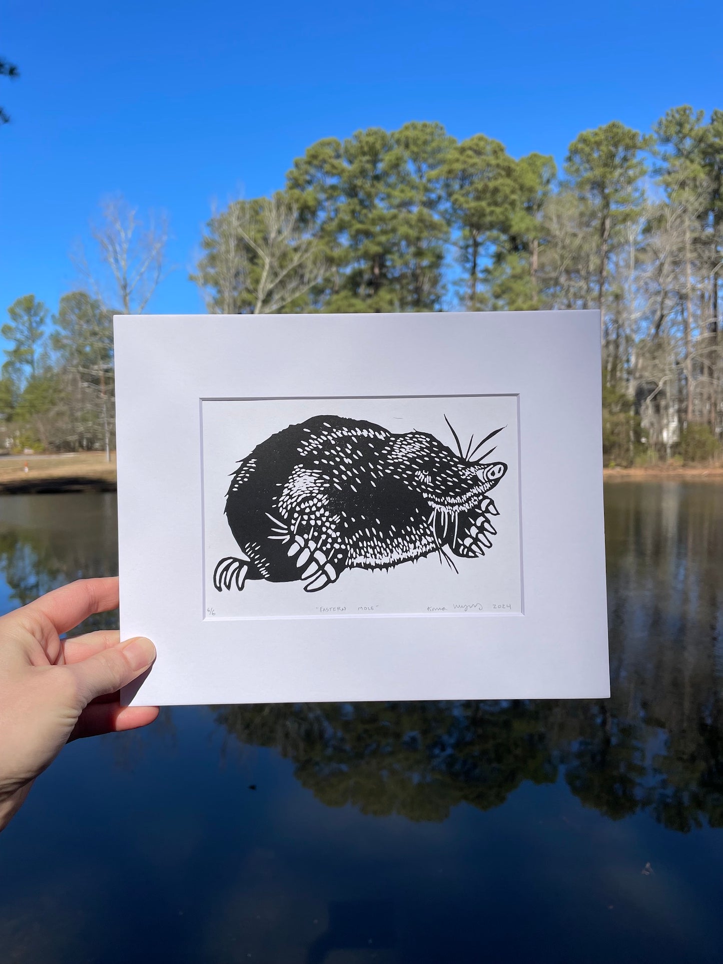 Eastern Mole Print 5"x7"