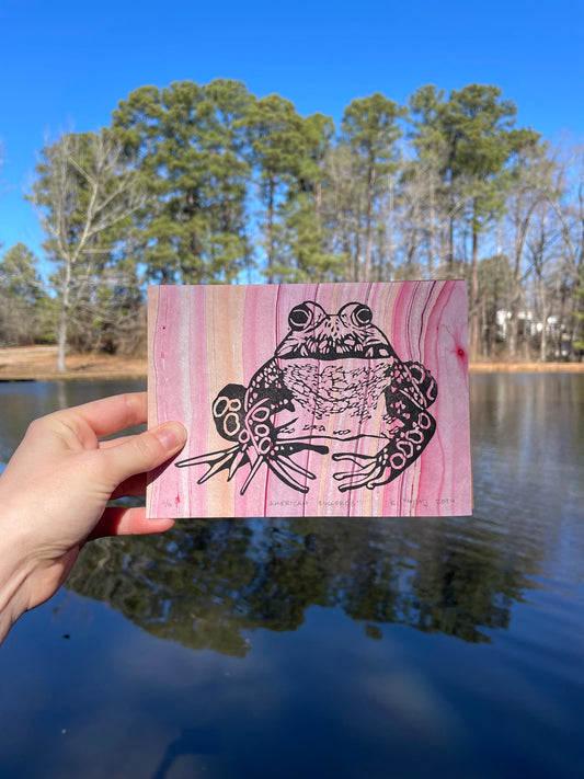 American Bullfrog on Fancy Paper-Pink