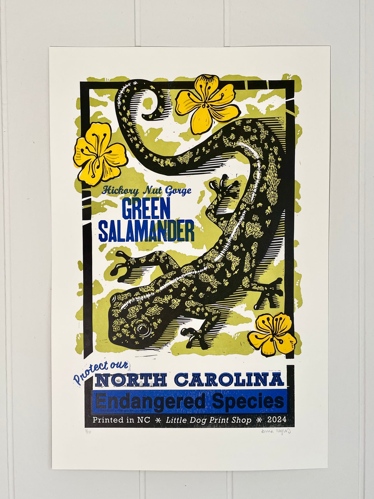 Hickory Nut Gorge Green Salamander