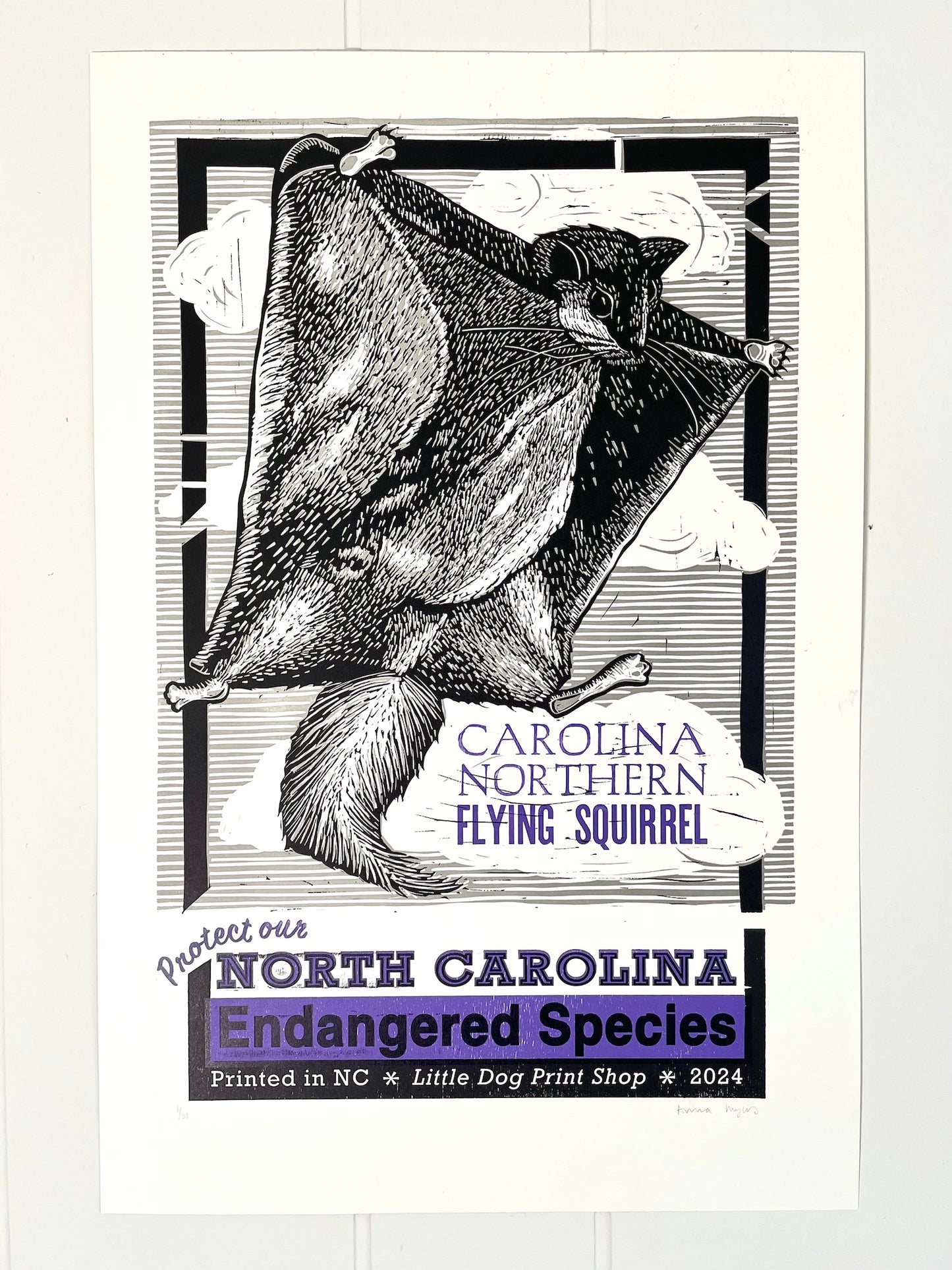 Carolina Northern Flying Squirrel