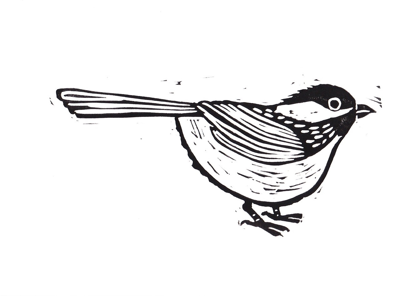 Black Capped Chickadee Print 5"x7"