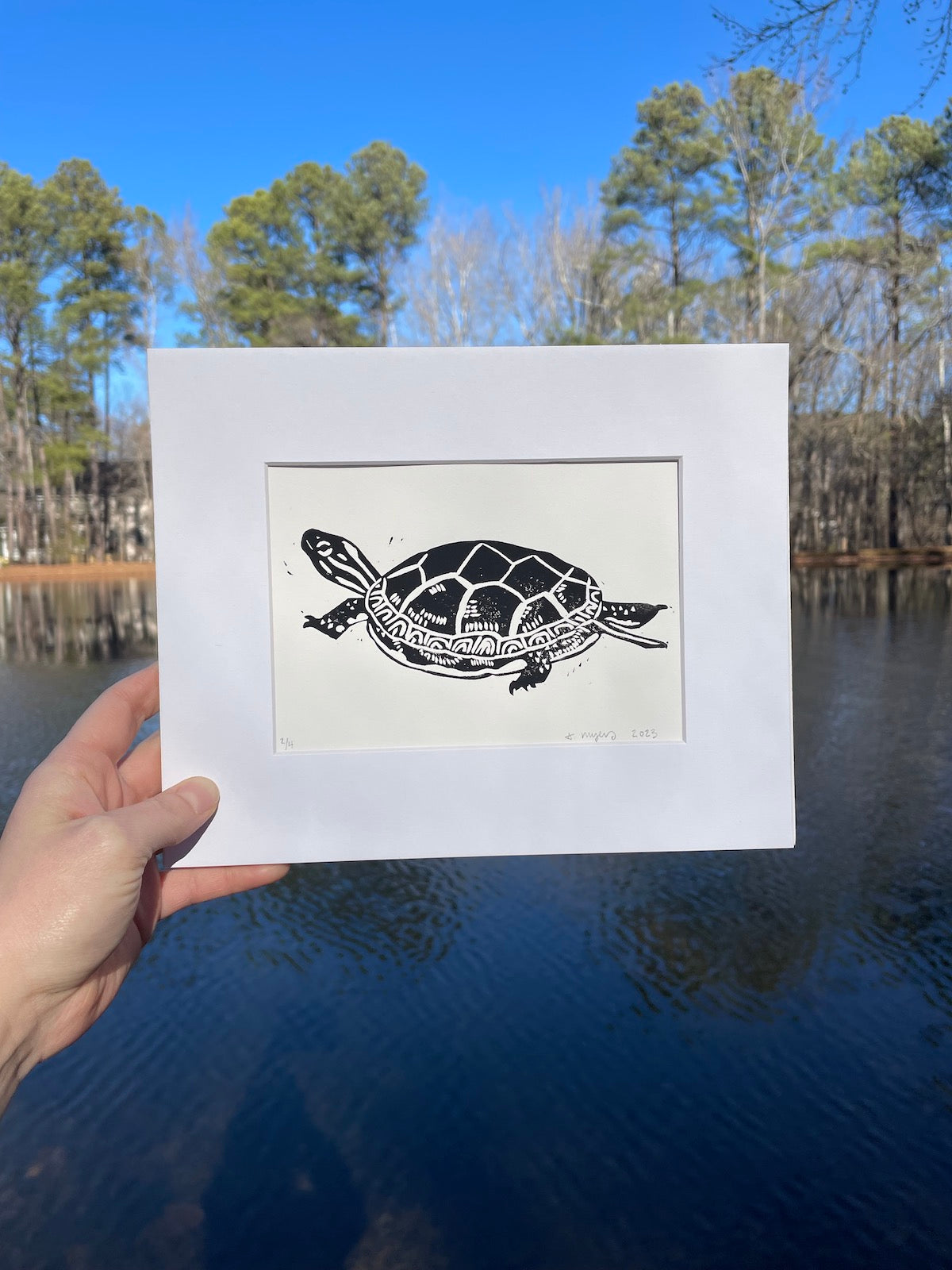Painted Turtle Print 8" x 10"