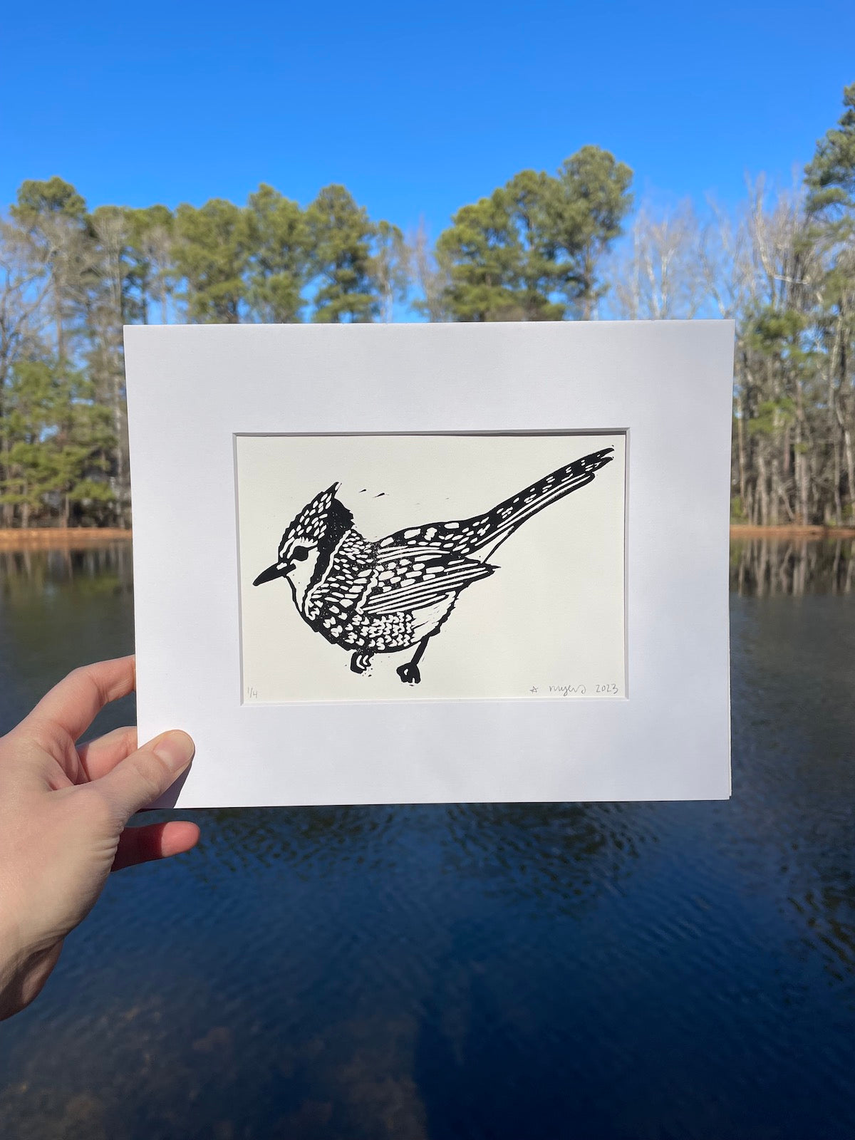 Blue Jay Print 8" x 10"