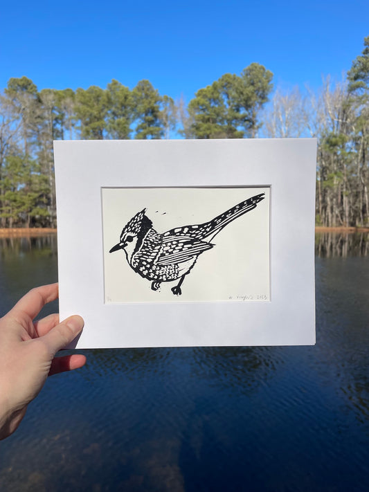 Blue Jay Print 8" x 10"