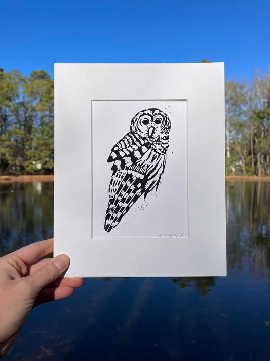 Barred Owl Print 5"x7"