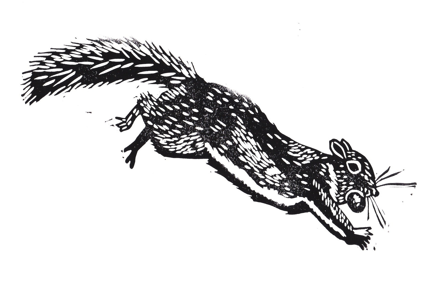 Jumping Gray Squirrel Print 11" x 14"