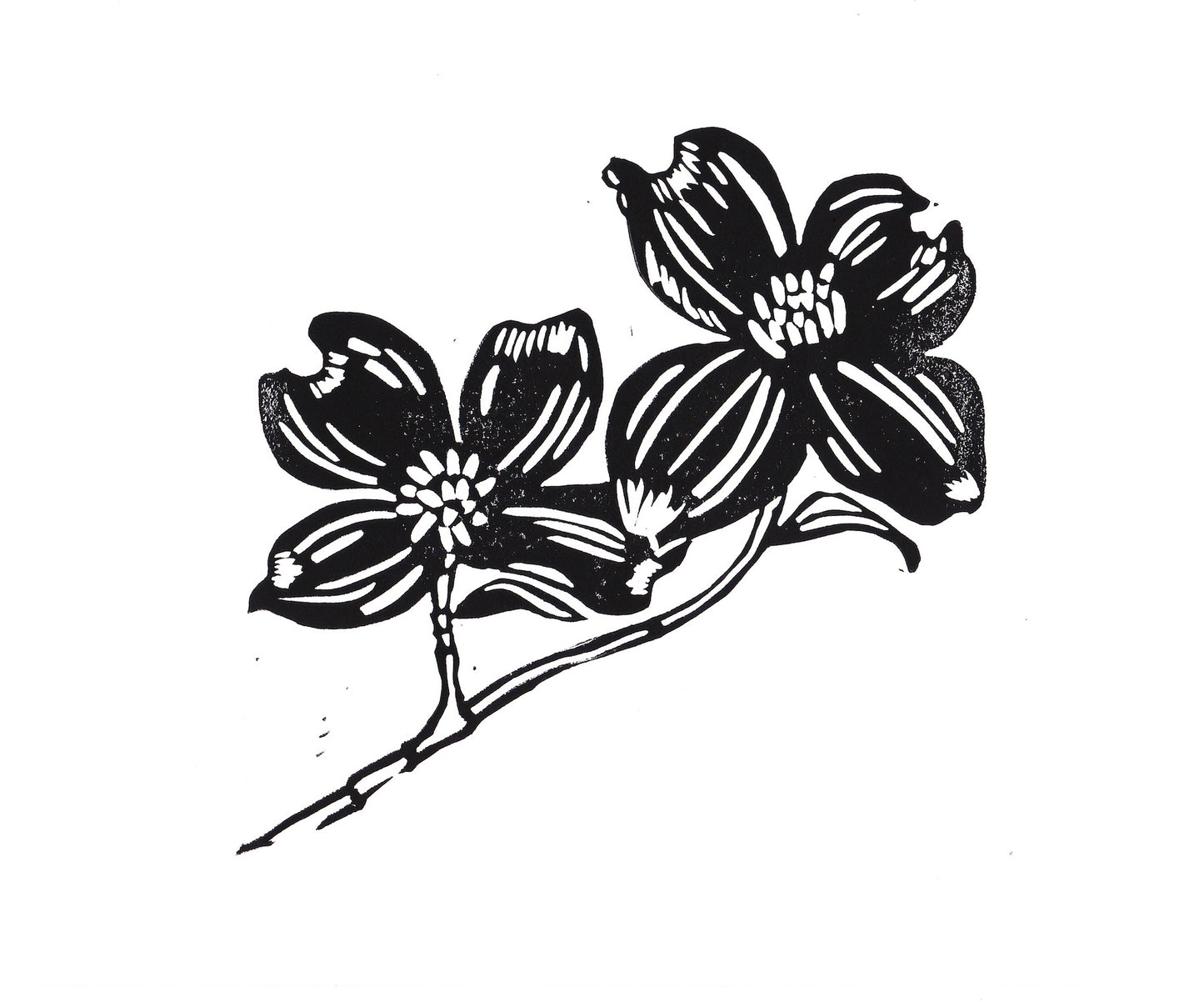 Dogwood Print 8" x 10"