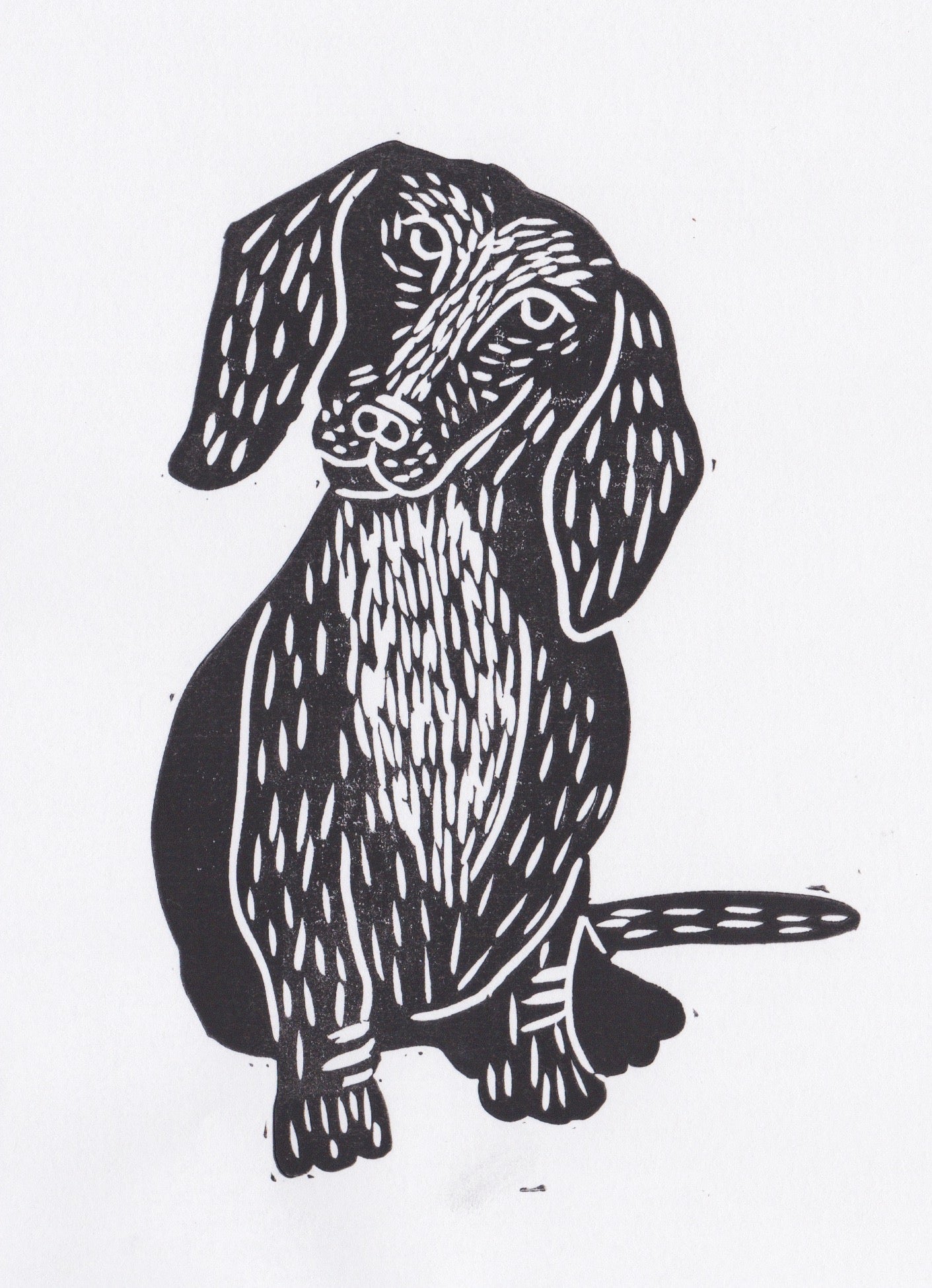 Max Print 5"x7"