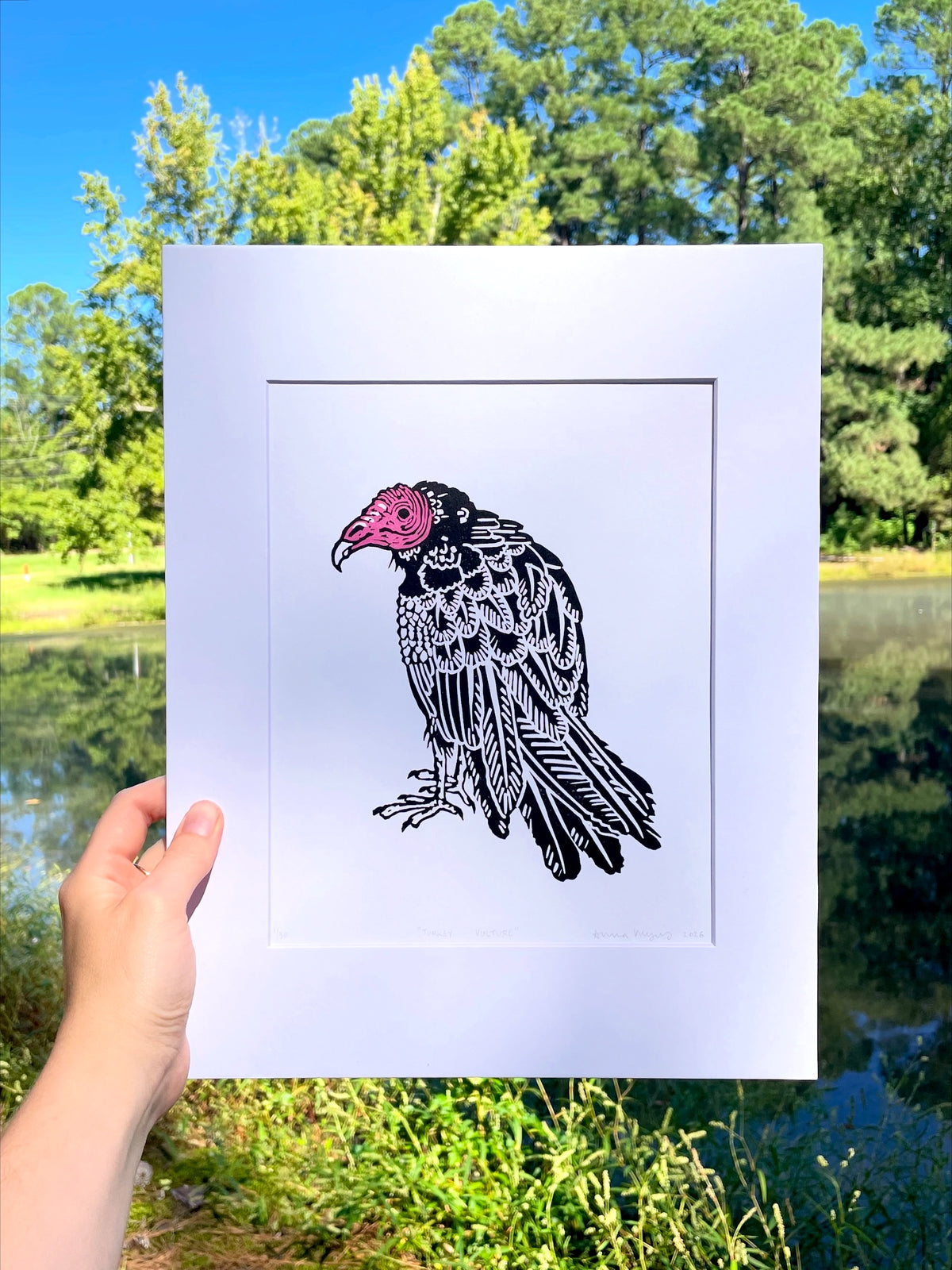 Turkey Vulture 2 Color Print-8" x 10"