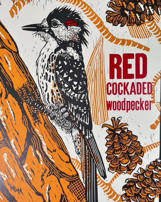 Red-Cockaded Woodpecker Letterpress Poster