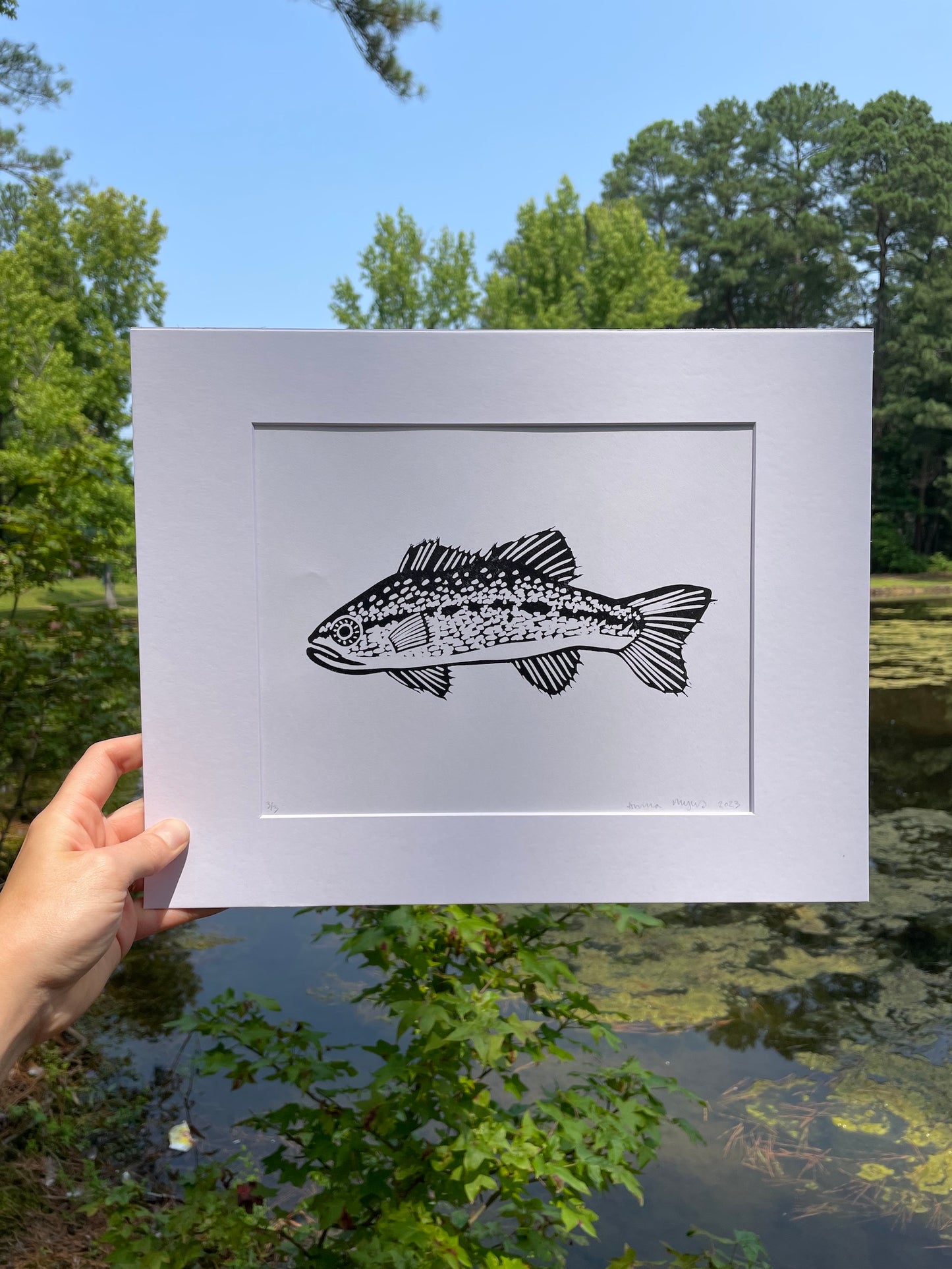 Large Mouth Bass Print  8" x 10"