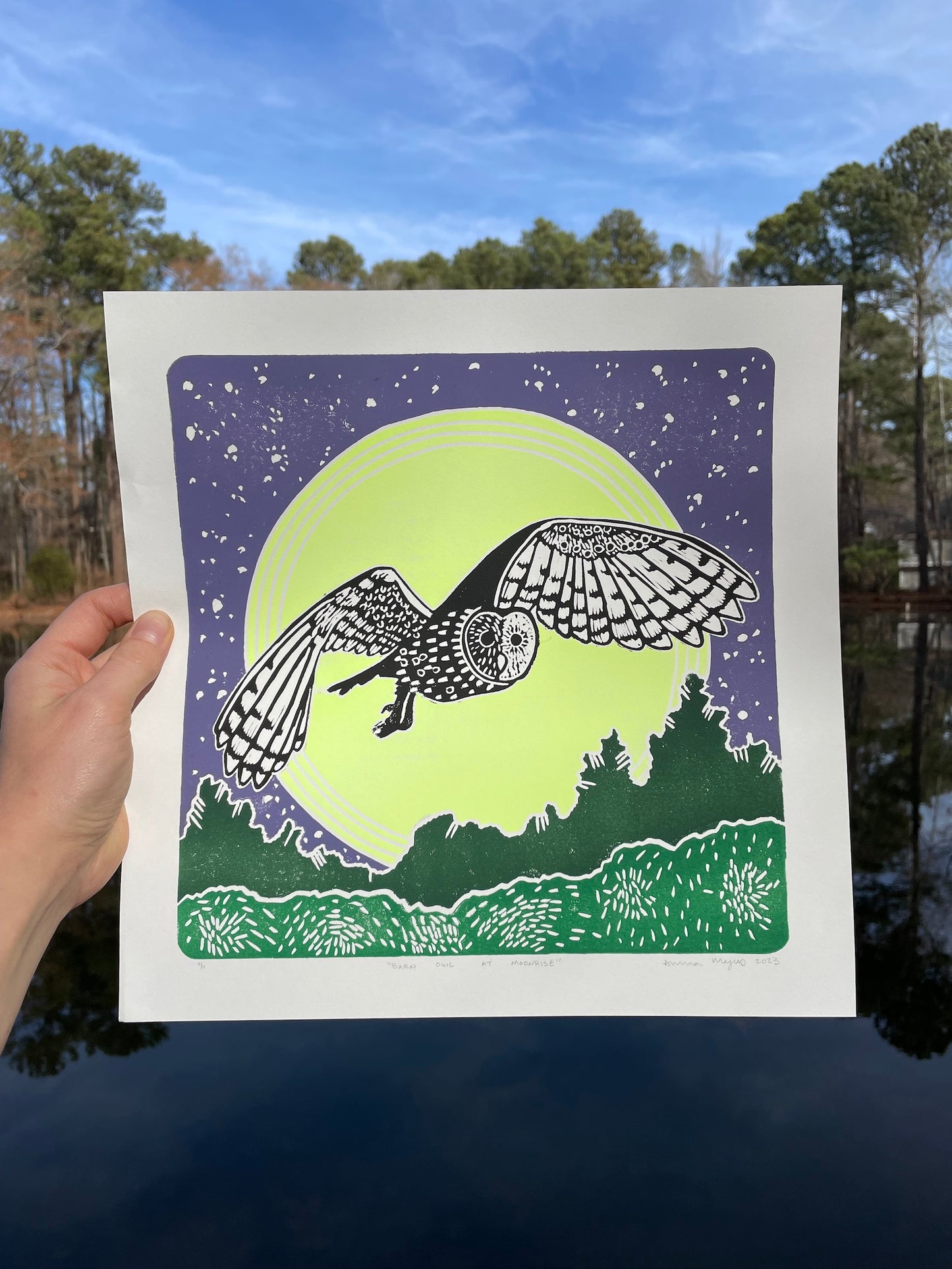 Barn Owl at Moonrise
