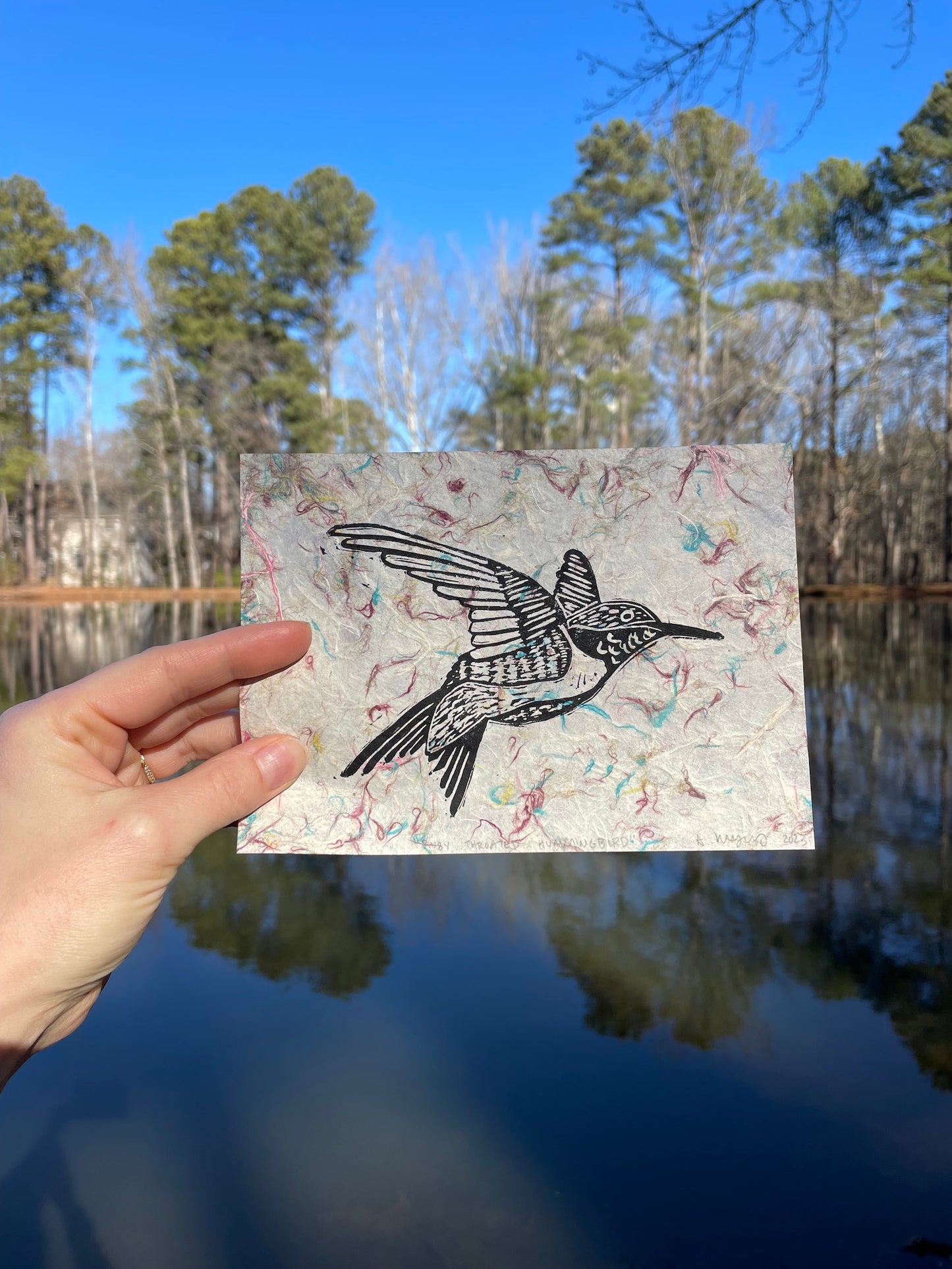 Hummingbird on Fancy Paper-Multi Confetti