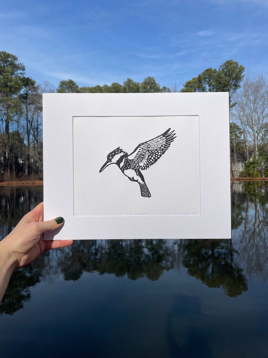 Belted Kingfisher Print 8" x 10"