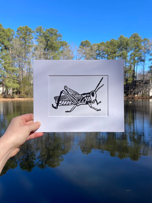 Spur- Throated Grasshopper Print 5"x7"