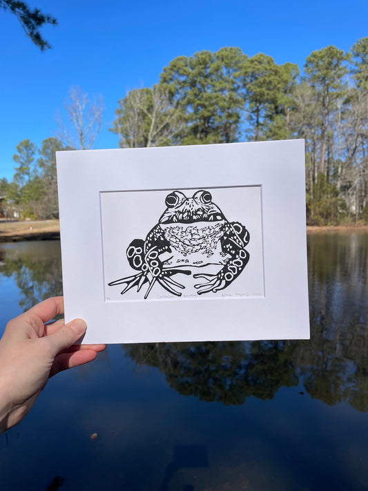 American Bullfrog Print 5"x7"