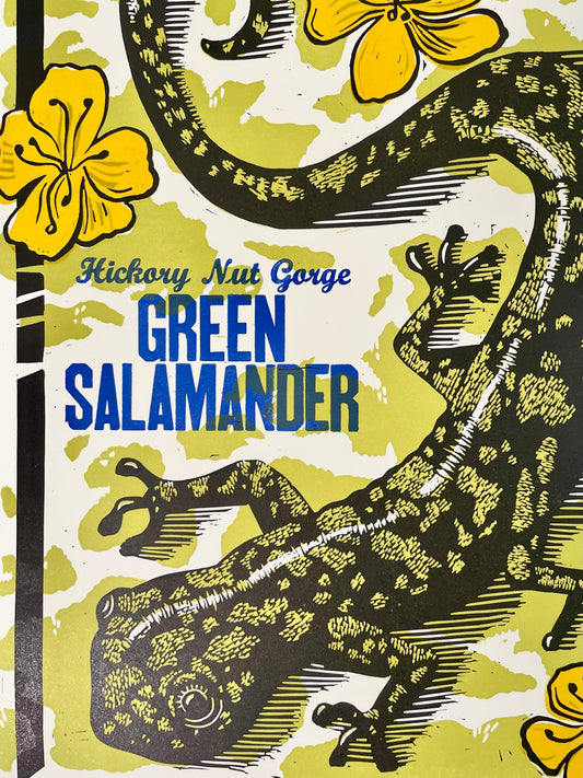 Hickory Nut Gorge Green Salamander