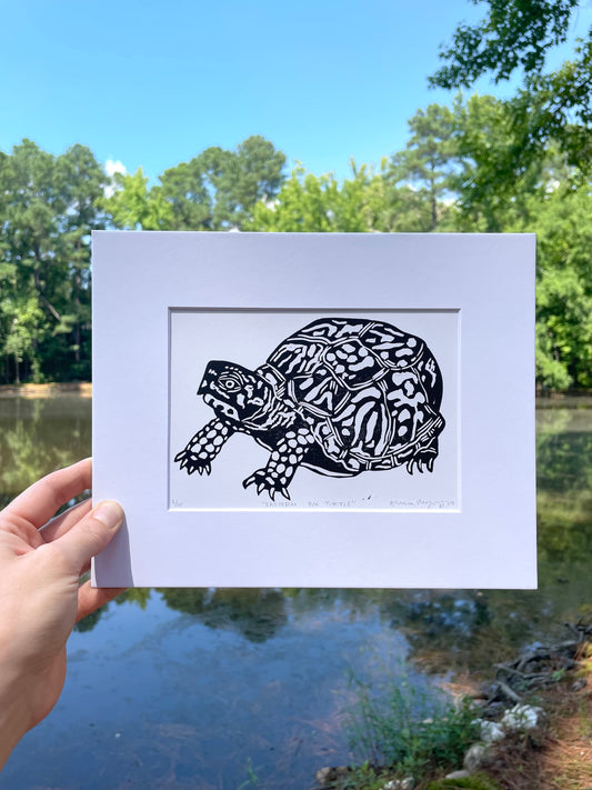 Eastern Box Turtle 5" x 7"