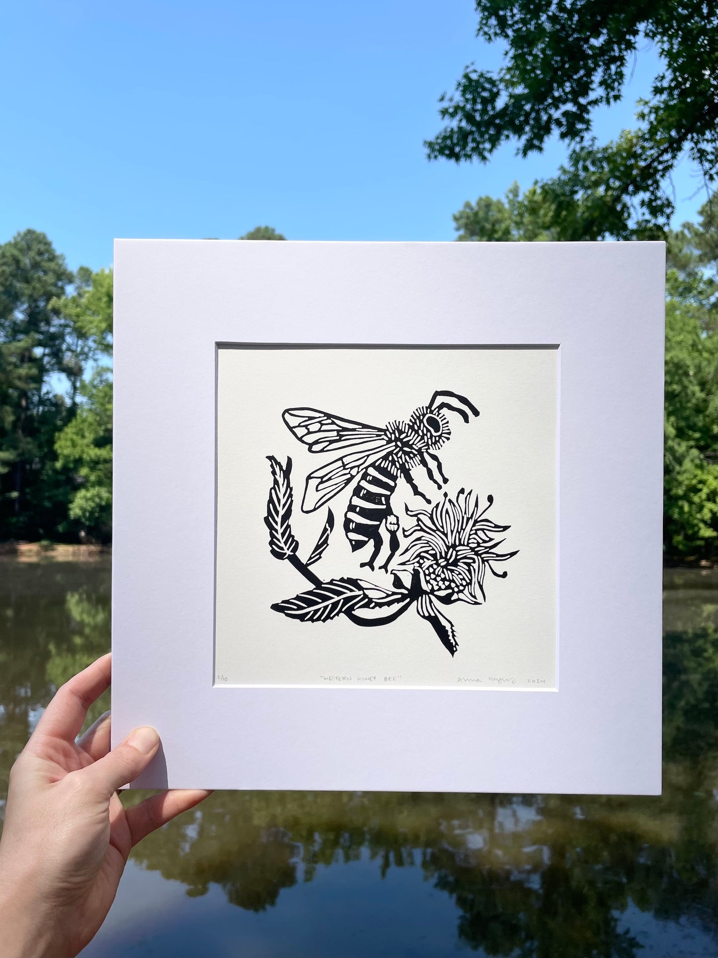 Western Honey Bee with Bee Balm Print 12" x 12"