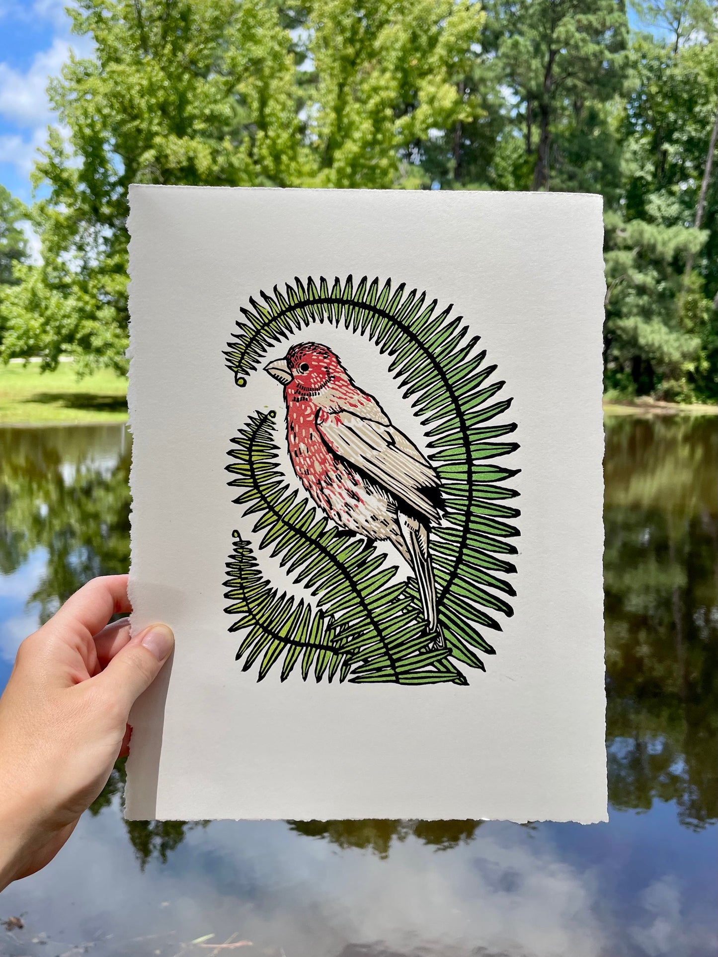 "House Finch Home" Linoleum Relief Print