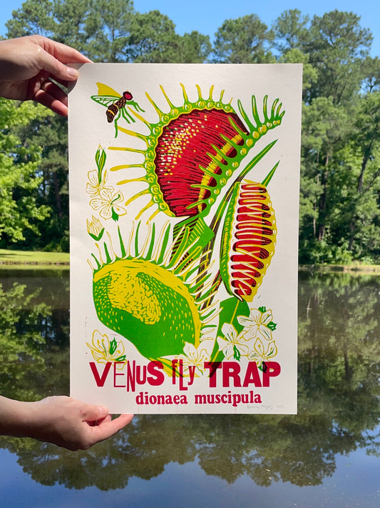 Venus Fly Trap Letterpress Poster